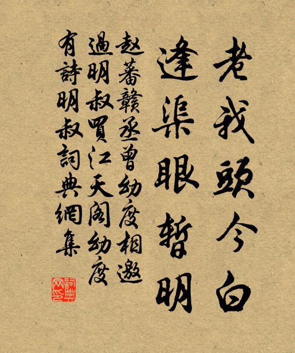 赵蕃老我头今白，逢渠眼暂明书法作品欣赏