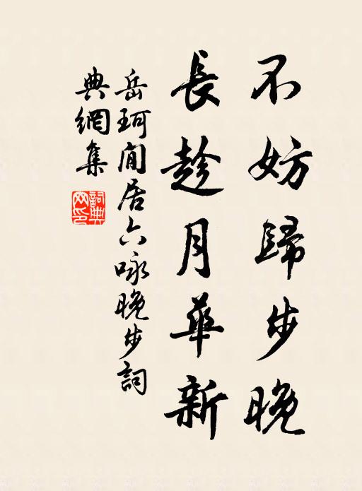 岳珂不妨归步晚，长趁月华新书法作品欣赏