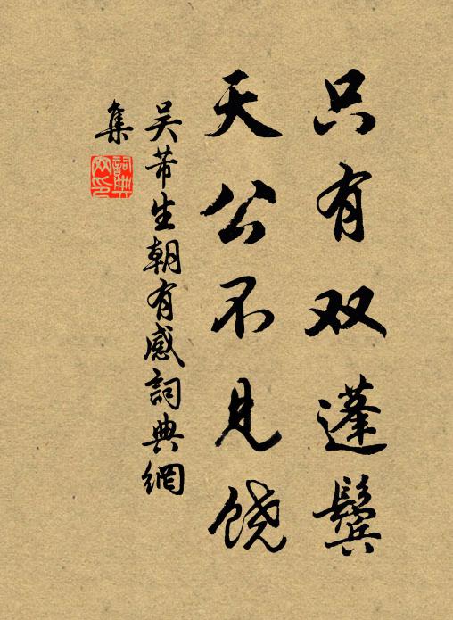 吴芾只有双蓬鬓，天公不见饶书法作品欣赏