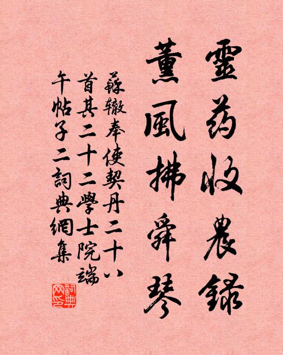 苏辙灵药收农录，薰风拂舜琴书法作品欣赏