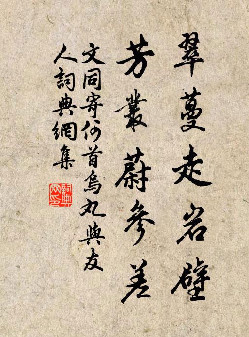 文同翠蔓走岩壁，芳丛蔚参差书法作品欣赏