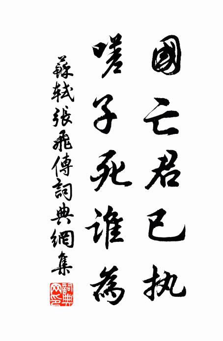 苏轼国亡君已执，嗟子死谁为书法作品欣赏