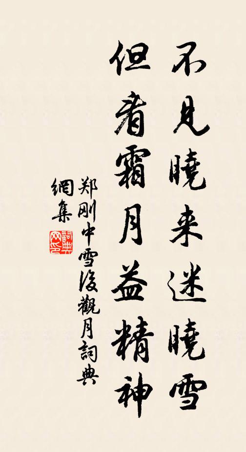 郑刚中不见晓来迷晓雪，但看霜月益精神书法作品欣赏