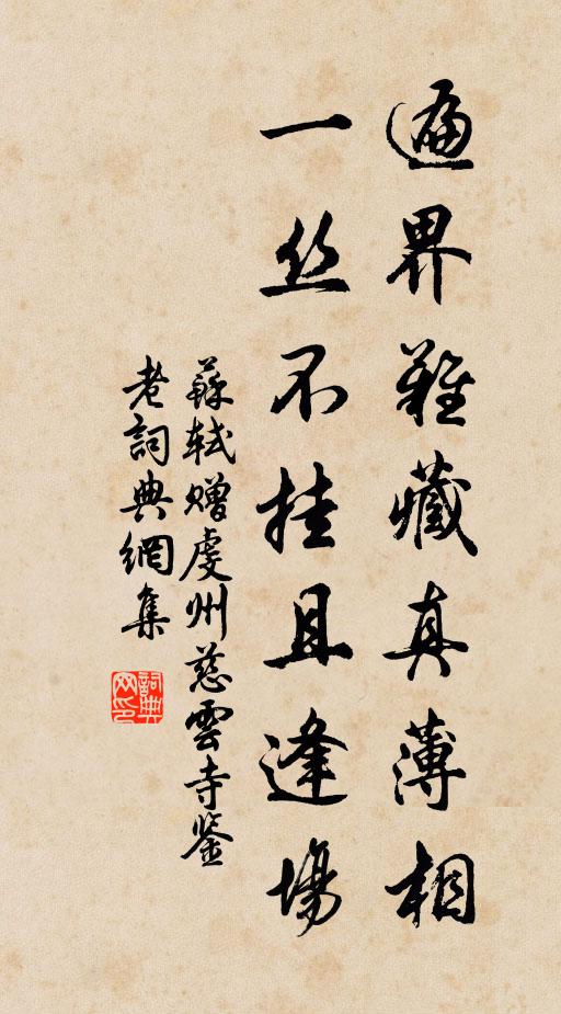 苏轼遍界难藏真薄相，一丝不挂且逢场书法作品欣赏