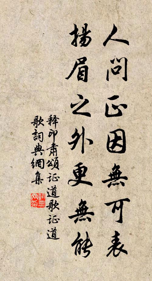 释印肃人问正因无可表，扬眉之外更无能书法作品欣赏