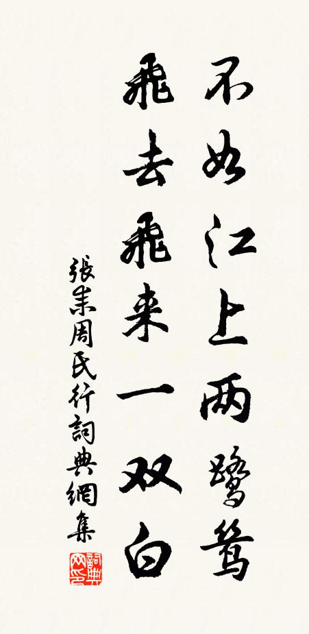 张耒不如江上两鹭鸶，飞去飞来一双白书法作品欣赏
