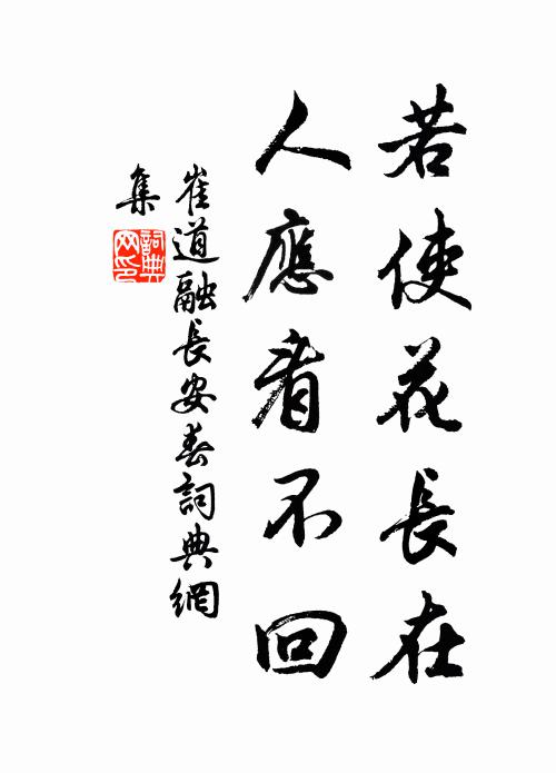 崔道融若使花长在，人应看不回书法作品欣赏