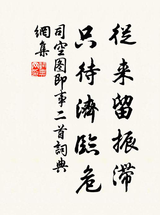 司空图从来留振滞，只待济临危书法作品欣赏