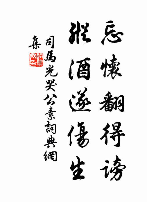 司马光忘怀翻得谤，纵酒遂伤生书法作品欣赏