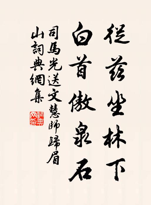 司马光从兹坐林下，白首傲泉石书法作品欣赏