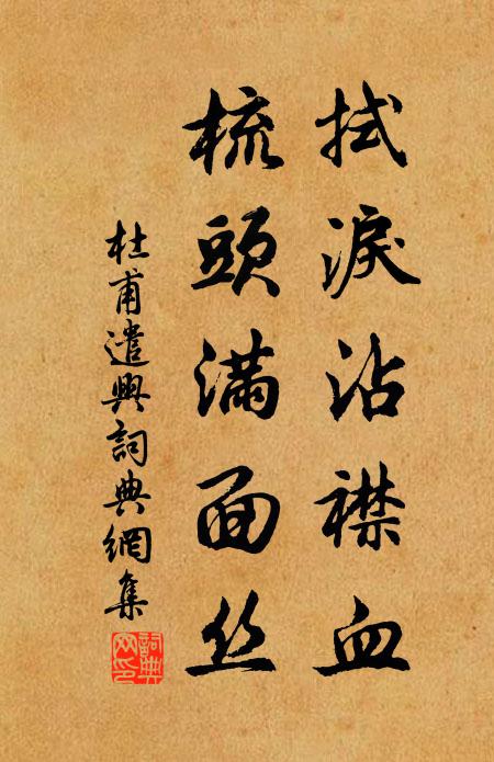 杜甫拭泪沾襟血，梳头满面丝书法作品欣赏