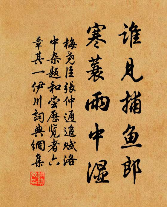 梅尧臣谁见捕鱼郎，寒蓑雨中湿书法作品欣赏