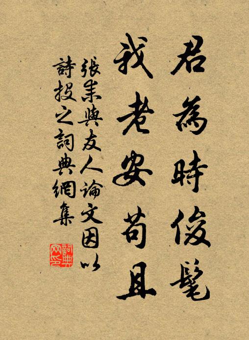张耒君为时俊髦，我老安苟且书法作品欣赏