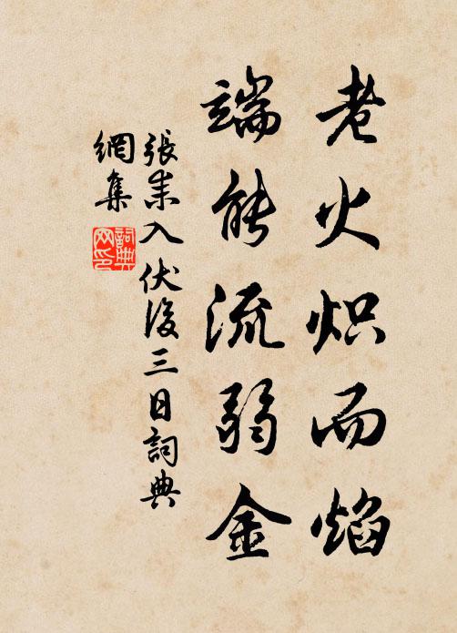 张耒老火炽而焰，端能流弱金书法作品欣赏