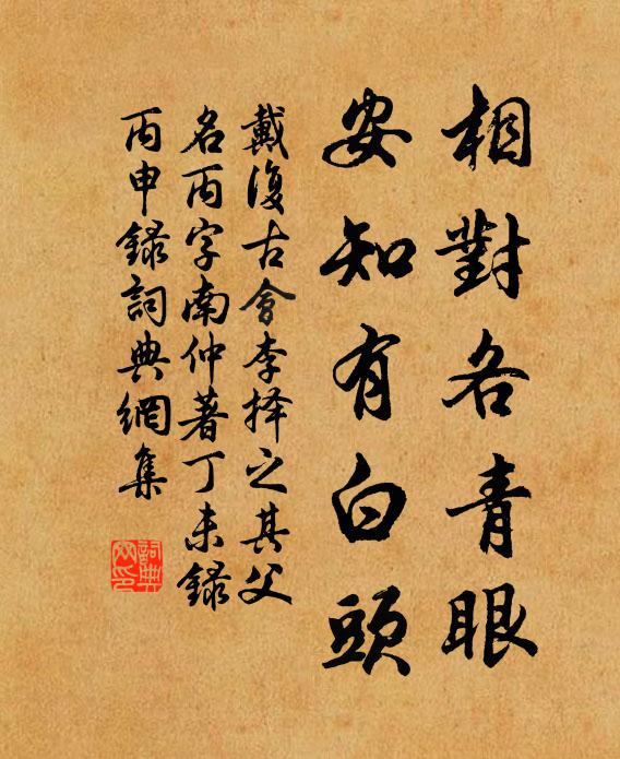 戴复古相对各青眼，安知有白头书法作品欣赏