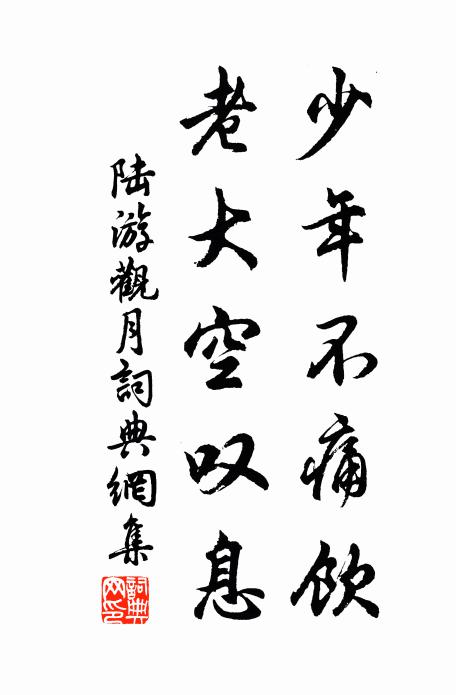 陆游少年不痛饮，老大空叹息书法作品欣赏