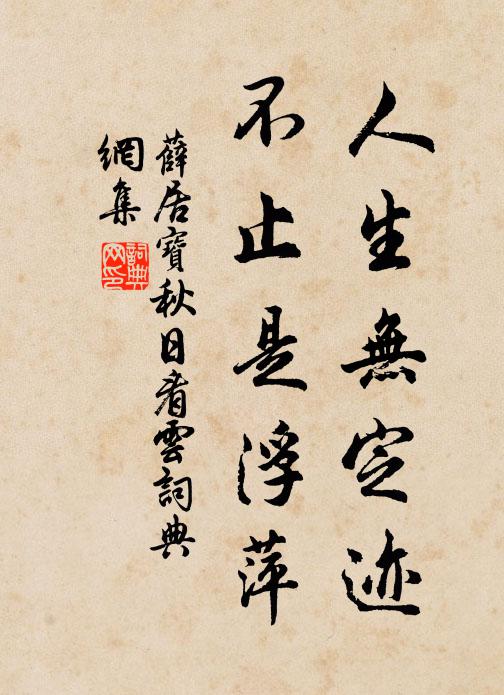 薛居宝人生无定迹，不止是浮萍书法作品欣赏