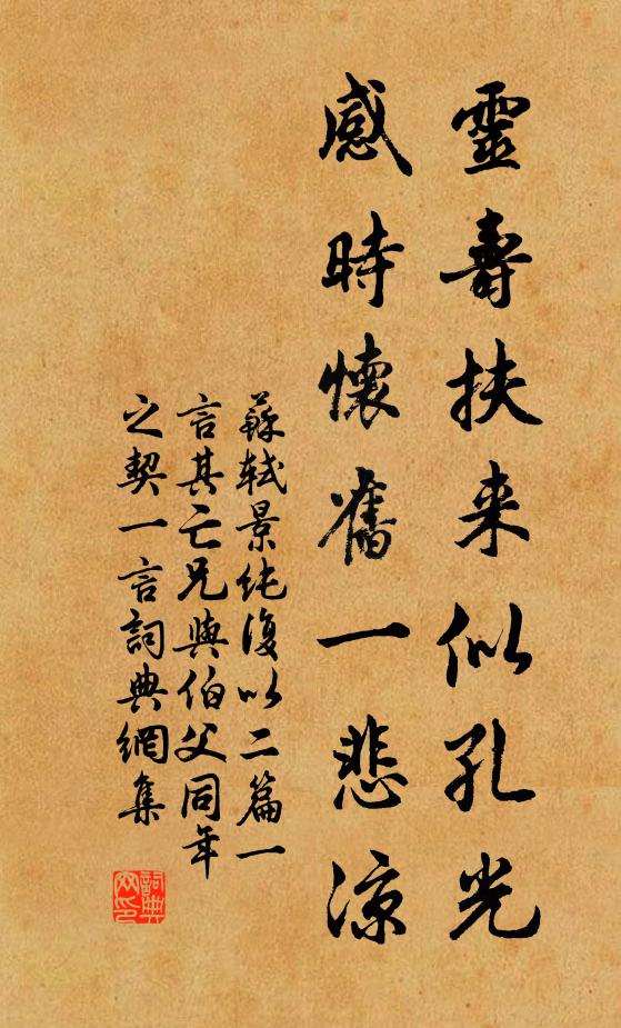 苏轼灵寿扶来似孔光，感时怀旧一悲凉书法作品欣赏
