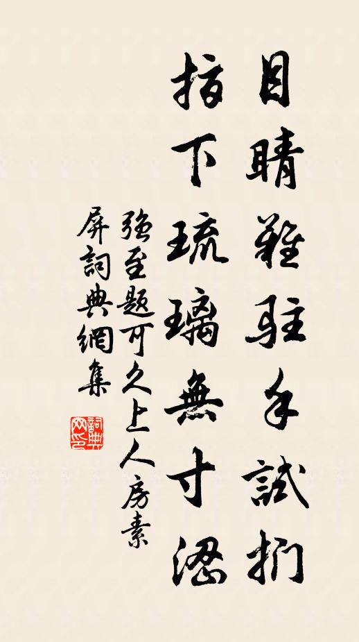 强至目睛难驻手试扪，指下琉璃无寸涩书法作品欣赏