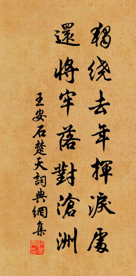 王安石独绕去年挥泪处，还将牢落对沧洲书法作品欣赏