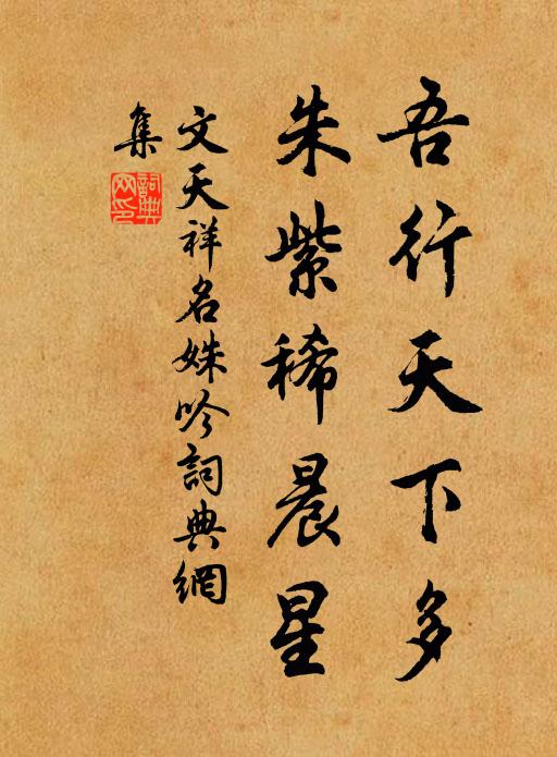 文天祥吾行天下多，朱紫稀晨星书法作品欣赏