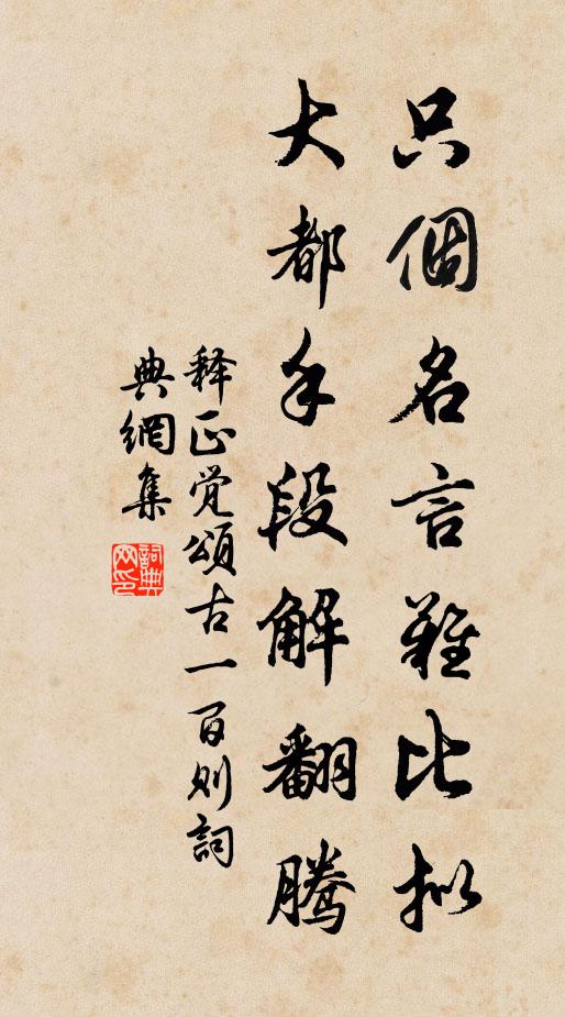 释正觉只个名言难比拟，大都手段解翻腾书法作品欣赏