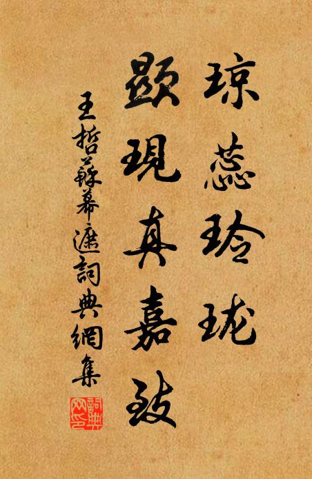 王哲琼蕊玲珑，显现真嘉致书法作品欣赏