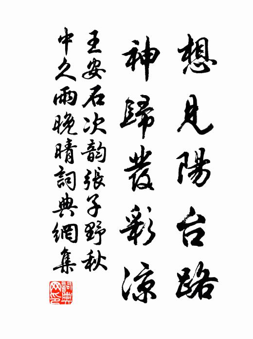 王安石想见阳台路，神归发彩凉书法作品欣赏