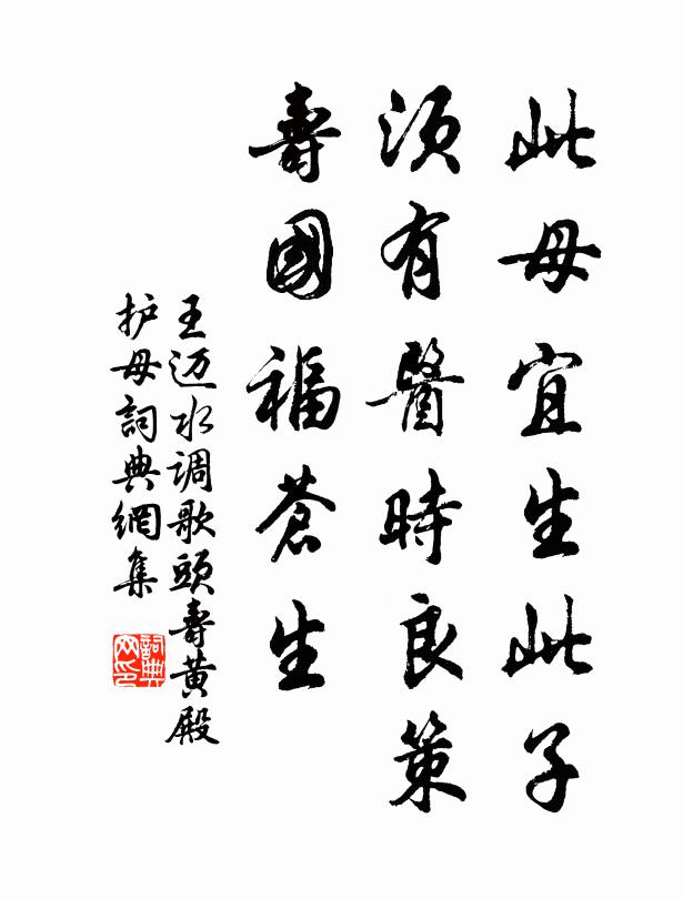 王迈此母宜生此子，须有医时良策，寿国福苍生书法作品欣赏