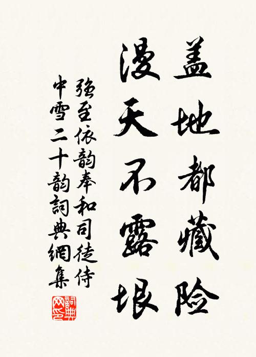 强至盖地都藏险，漫天不露垠书法作品欣赏