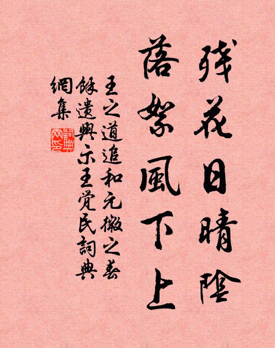 王之道残花日晴阴，落絮风下上书法作品欣赏