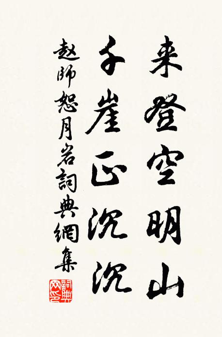赵师恕来登空明山，千崖正沉沉书法作品欣赏