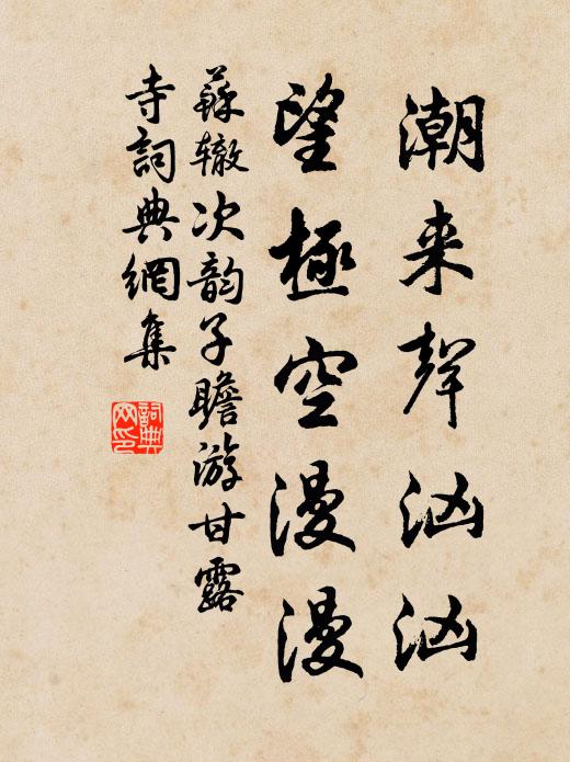 苏辙潮来声汹汹，望极空漫漫书法作品欣赏
