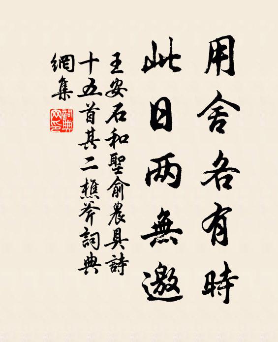 王安石用舍各有时，此日两无邀书法作品欣赏