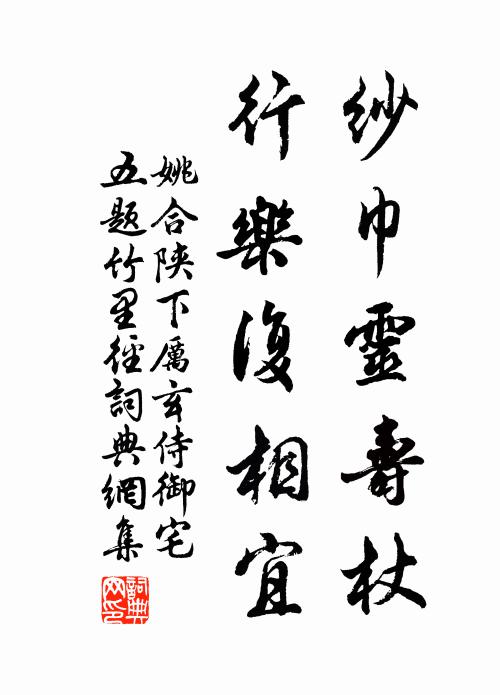 姚合纱巾灵寿杖，行乐复相宜书法作品欣赏