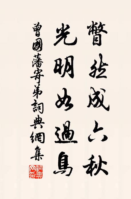 曾国藩瞥然成六秋，光明如过鸟书法作品欣赏