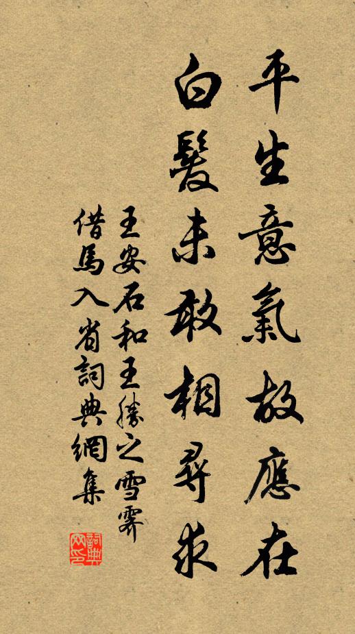 王安石平生意气故应在，白发未敢相寻求书法作品欣赏