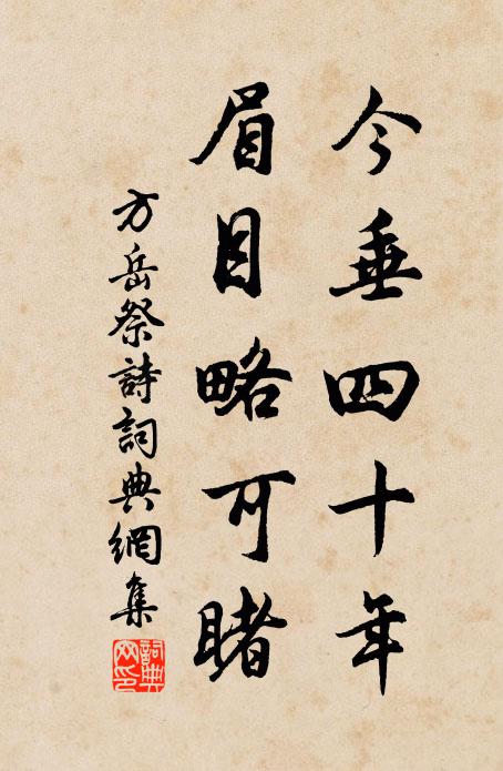 方岳今垂四十年，眉目略可睹书法作品欣赏