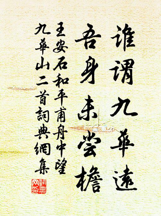 王安石谁谓九华远，吾身未尝檐书法作品欣赏