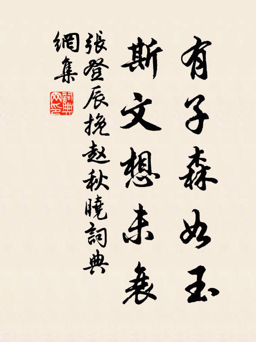 张登辰有子森如玉，斯文想未衰书法作品欣赏