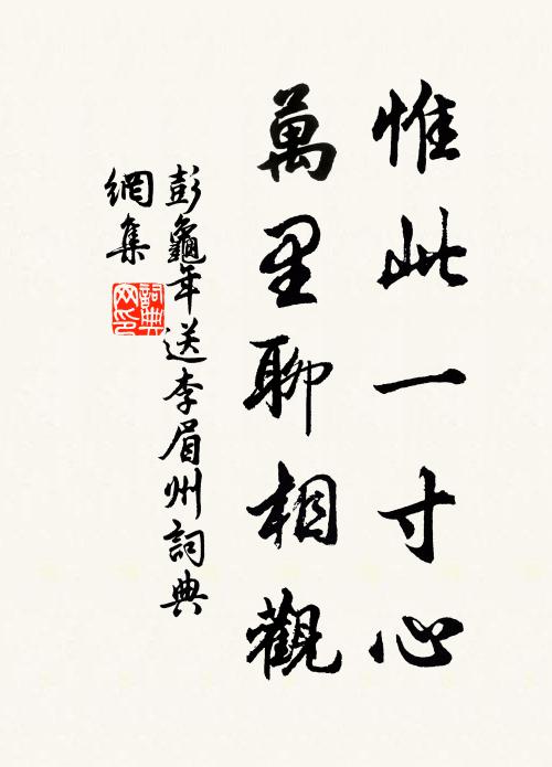 彭龟年惟此一寸心，万里聊相观书法作品欣赏