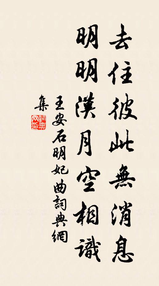 王安石去住彼此无消息，明明汉月空相识书法作品欣赏