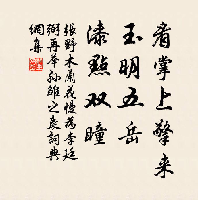 张野看掌上擎来，玉明五岳，漆点双瞳书法作品欣赏