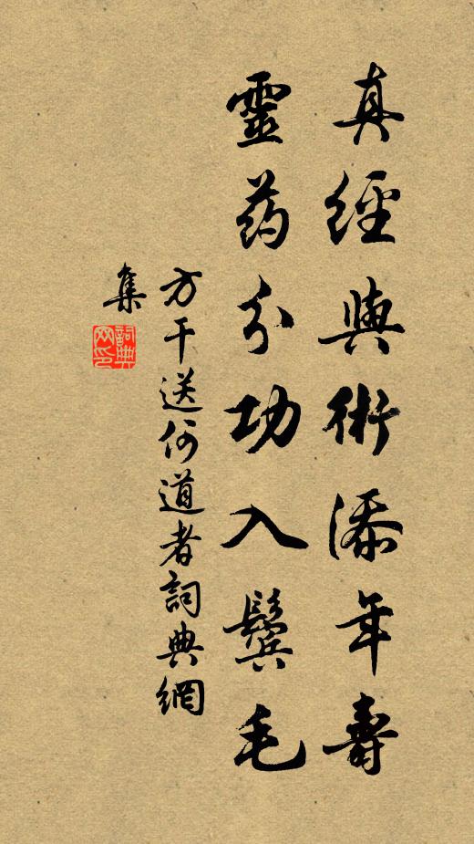 方干真经与术添年寿，灵药分功入鬓毛书法作品欣赏