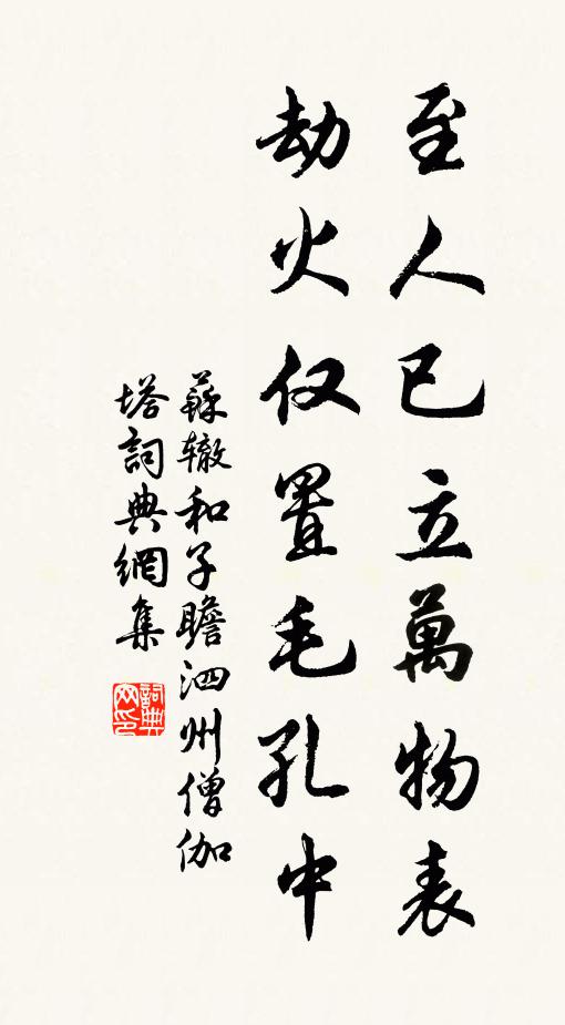 苏辙至人已立万物表，劫火仅置毛孔中书法作品欣赏