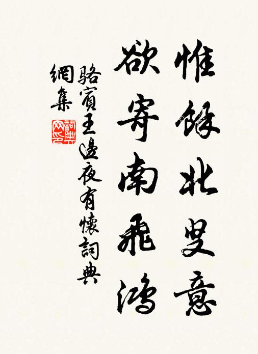 骆宾王惟馀北叟意，欲寄南飞鸿书法作品欣赏