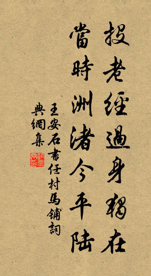 王安石投老经过身独在，当时洲渚今平陆书法作品欣赏