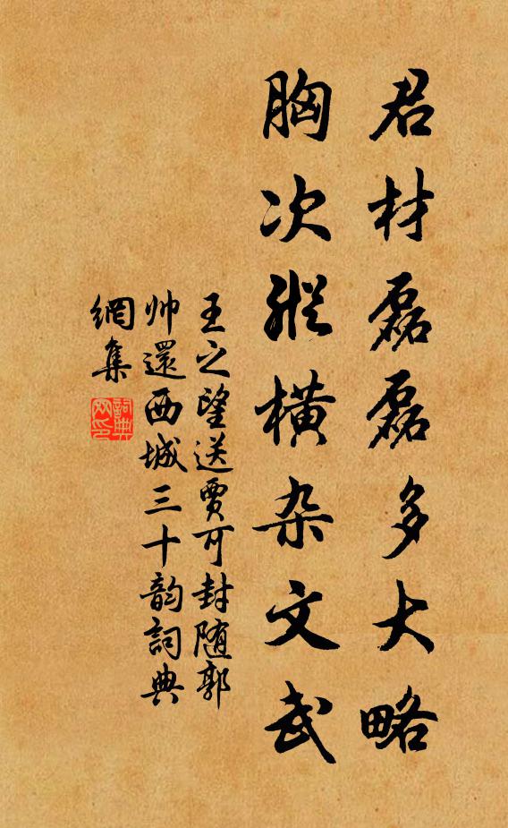 王之望君材磊磊多大略，胸次纵横杂文武书法作品欣赏