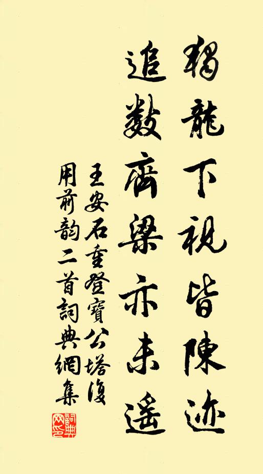 王安石独龙下视皆陈迹，追数齐梁亦未遥书法作品欣赏