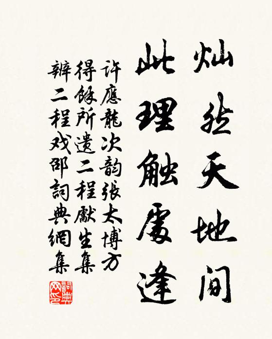 许应龙灿然天地间，此理触处逢书法作品欣赏